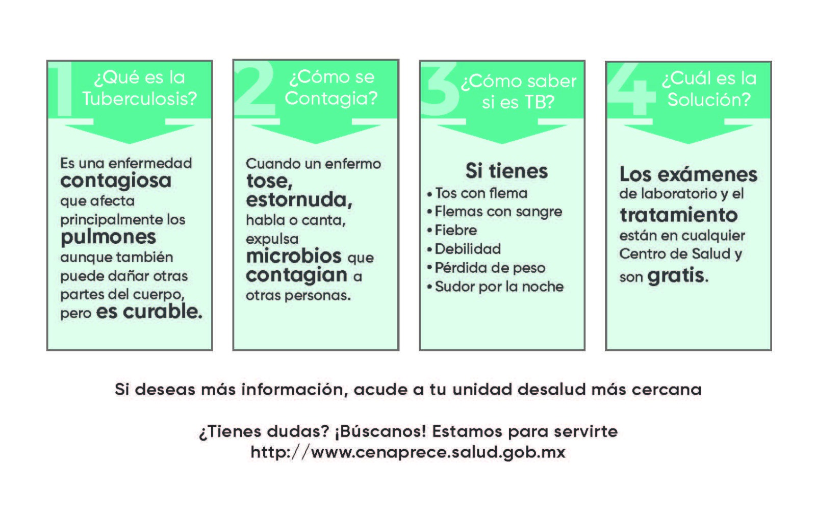 Infografía: Qué es la tuberculosis
